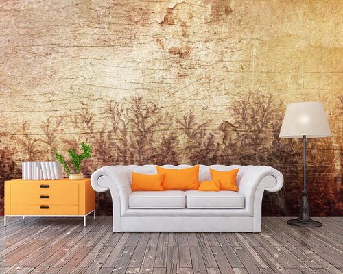 Туманная тень на стене Туманная тень на стене