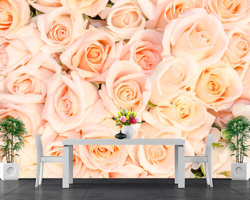 Фон из персиковых роз Фон из персиковых роз