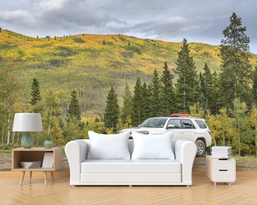 Тойота на лесной дороге Тойота на лесной дороге