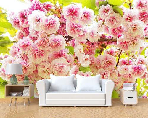 Махровая сакура Махровая сакура