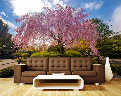 Одинокая сакура в парке Одинокая сакура в парке