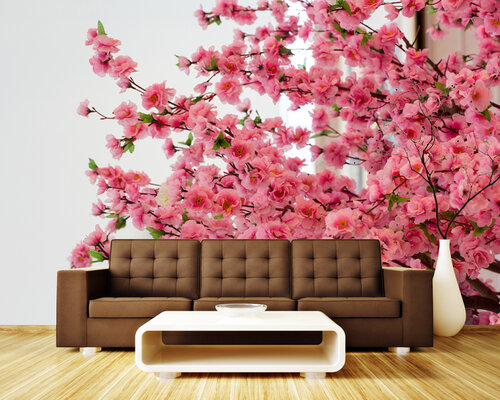 Сакура весной Сакура весной