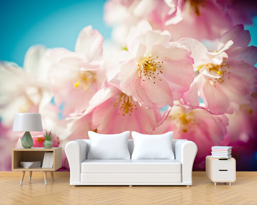 Томная сакура Томная сакура