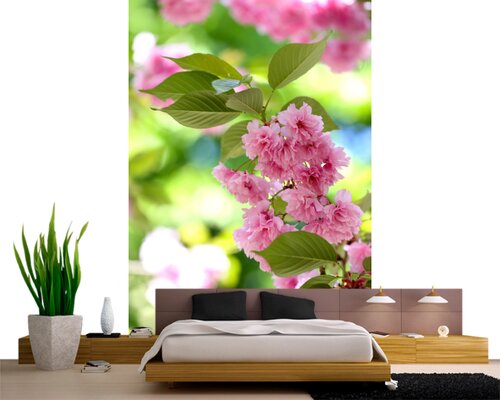 Романтичная сакура Романтичная сакура