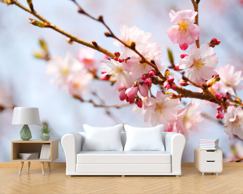 Начало цветения сакуры Начало цветения сакуры