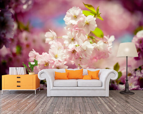 Цветущая японская сакура Цветущая японская сакура