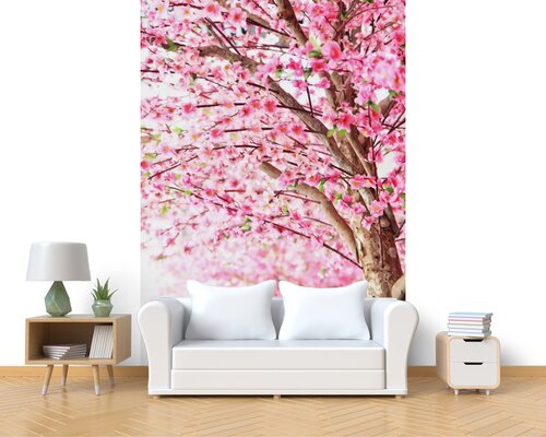 Цветущее дерево сакуры в Японии Цветущее дерево сакуры в Японии