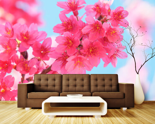 Ветка сакуры в фокусе Ветка сакуры в фокусе