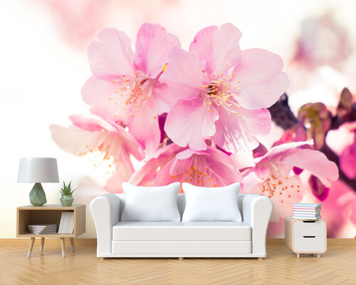 Цветки нежной сакуры Цветки нежной сакуры