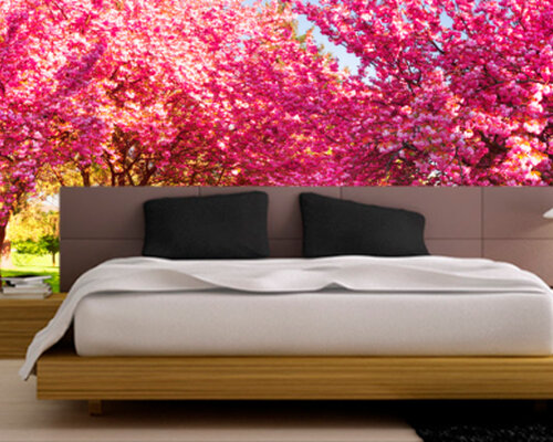 Аллея цветущей сакуры Аллея цветущей сакуры