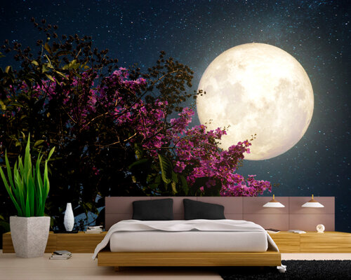 Сакура под полной луной Сакура под полной луной