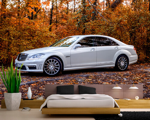 Мерседес в осеннем лесу Мерседес в осеннем лесу