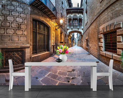 Готический квартал Барселоны Готический квартал Барселоны